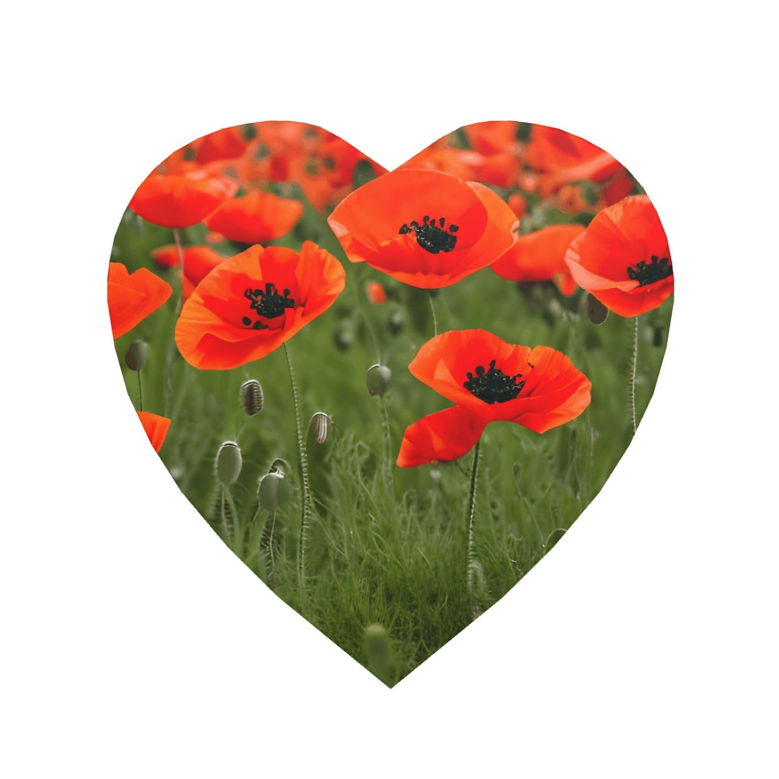 Poppy Flowers Petals Print Refrigerator Magnet,Magnets For Refrigerator Decoration, Kitchen, Office, Wall