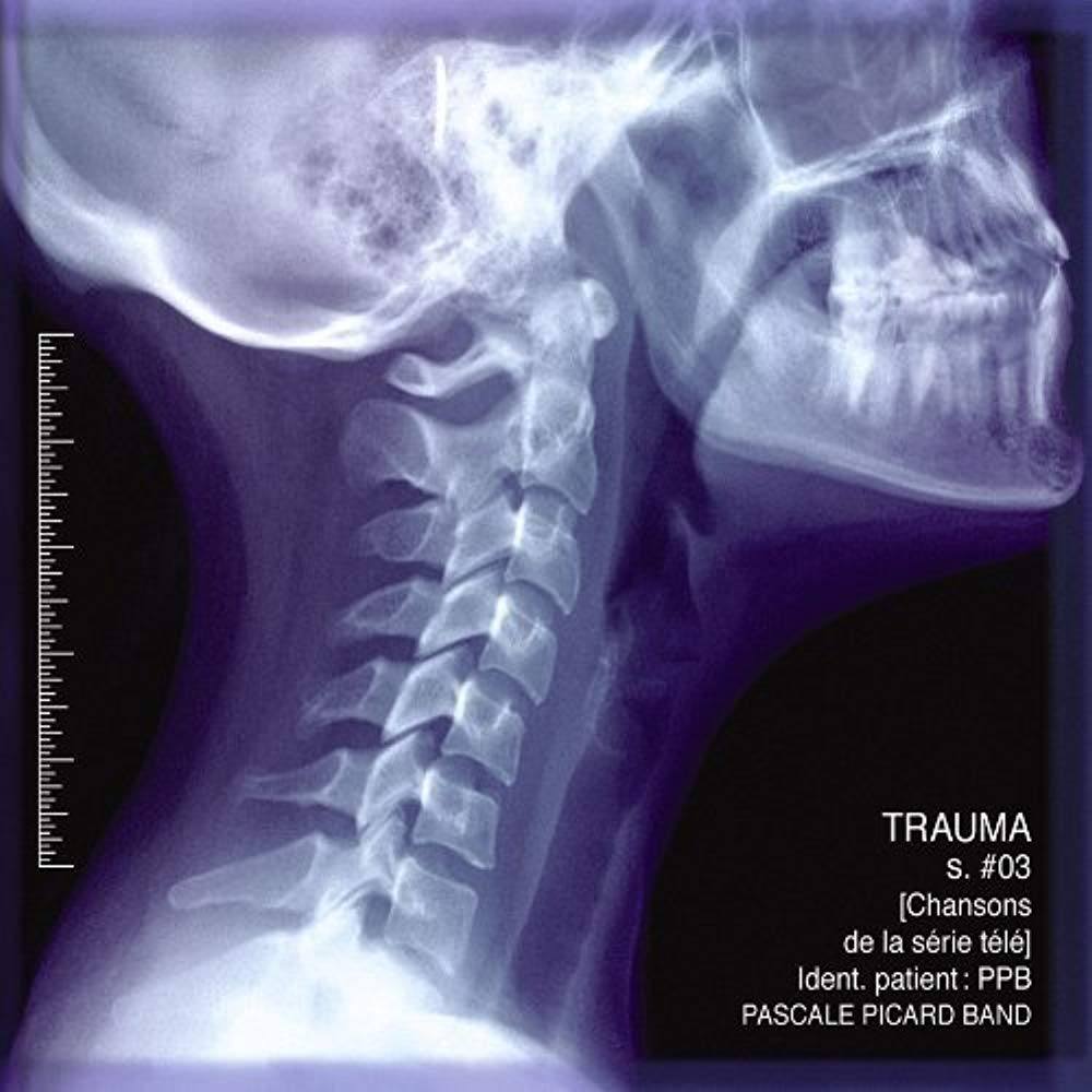 Chansons de la série télé Trauma: Saison 3 [Audio CD] Pascale Picard Band