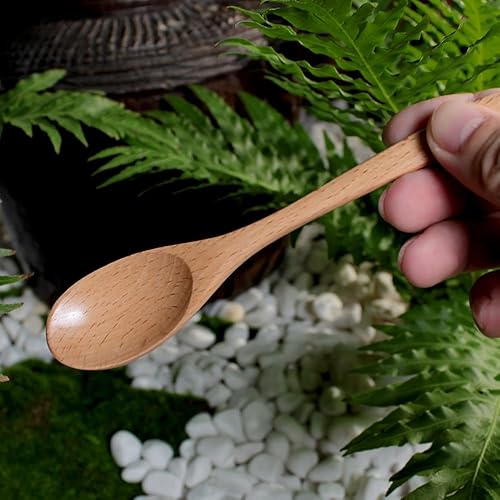 Miniatura 2 de Cuchara de café de madera de 6 pulgadas, cuchara de madera de haya natural, cuchara de postre de té, cuchara de té, agitadores de madera para