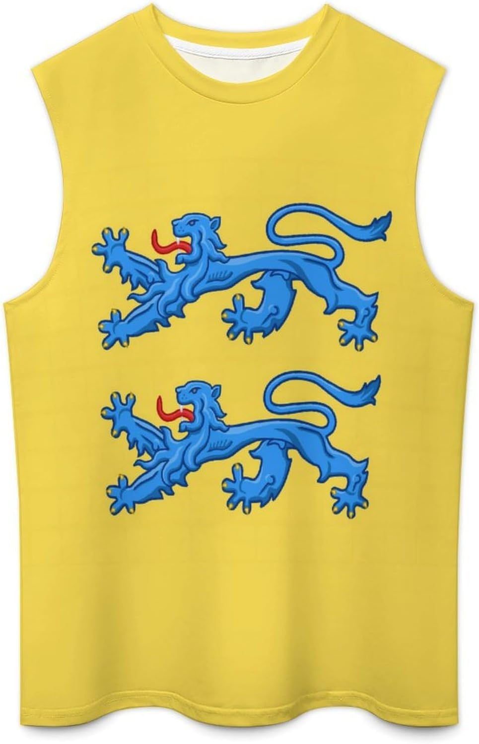 Southern Schleswig Flag Men Summer Sleeveless Crew Neck Top 5XL