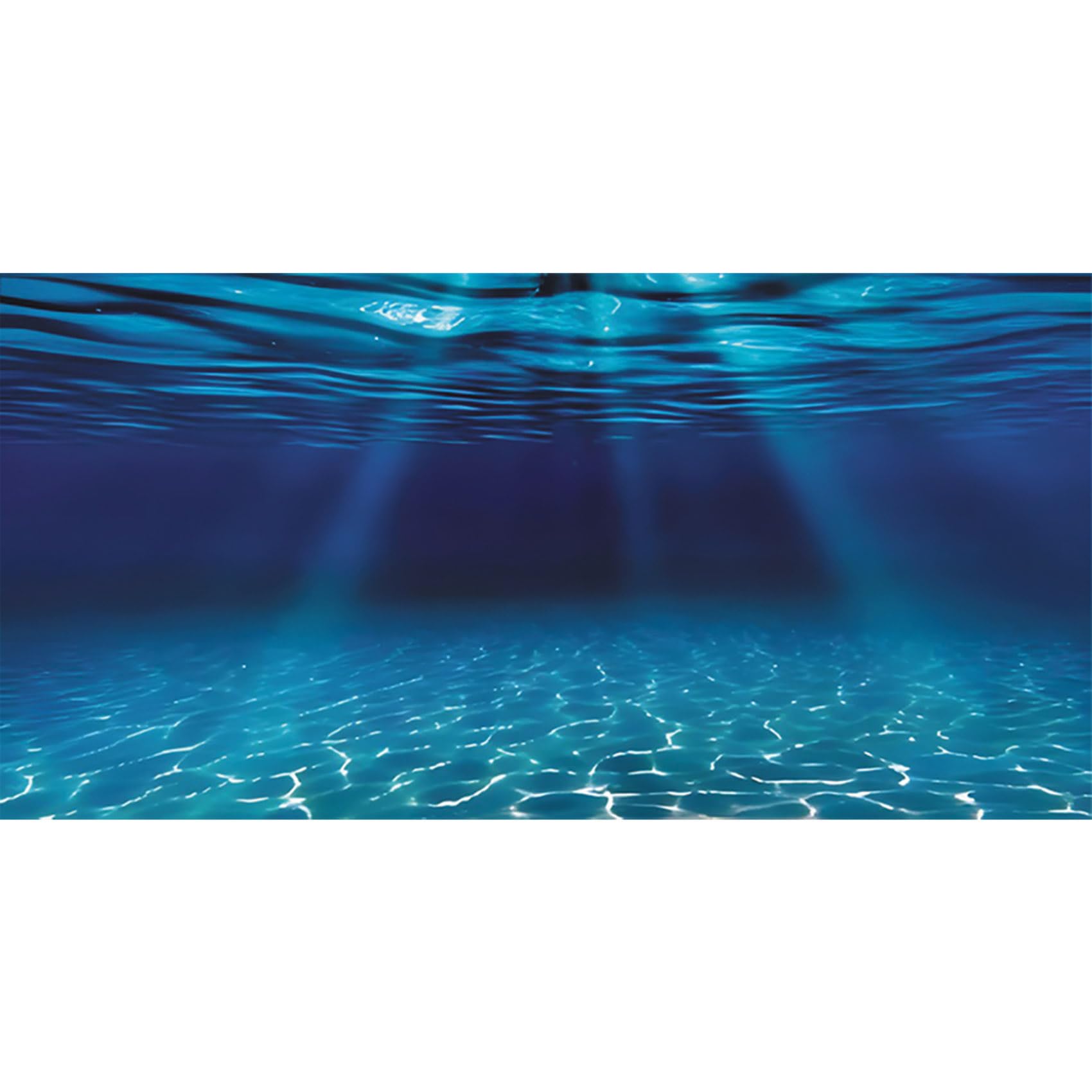 AWERT 24x16 inches Ocean Floor Aquarium Background Undersea Theme Aquarium Background Underwater Fish Tank Background