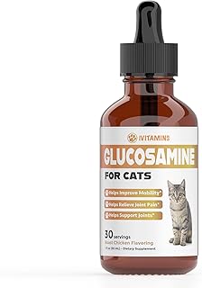 Glucosamine for Cats