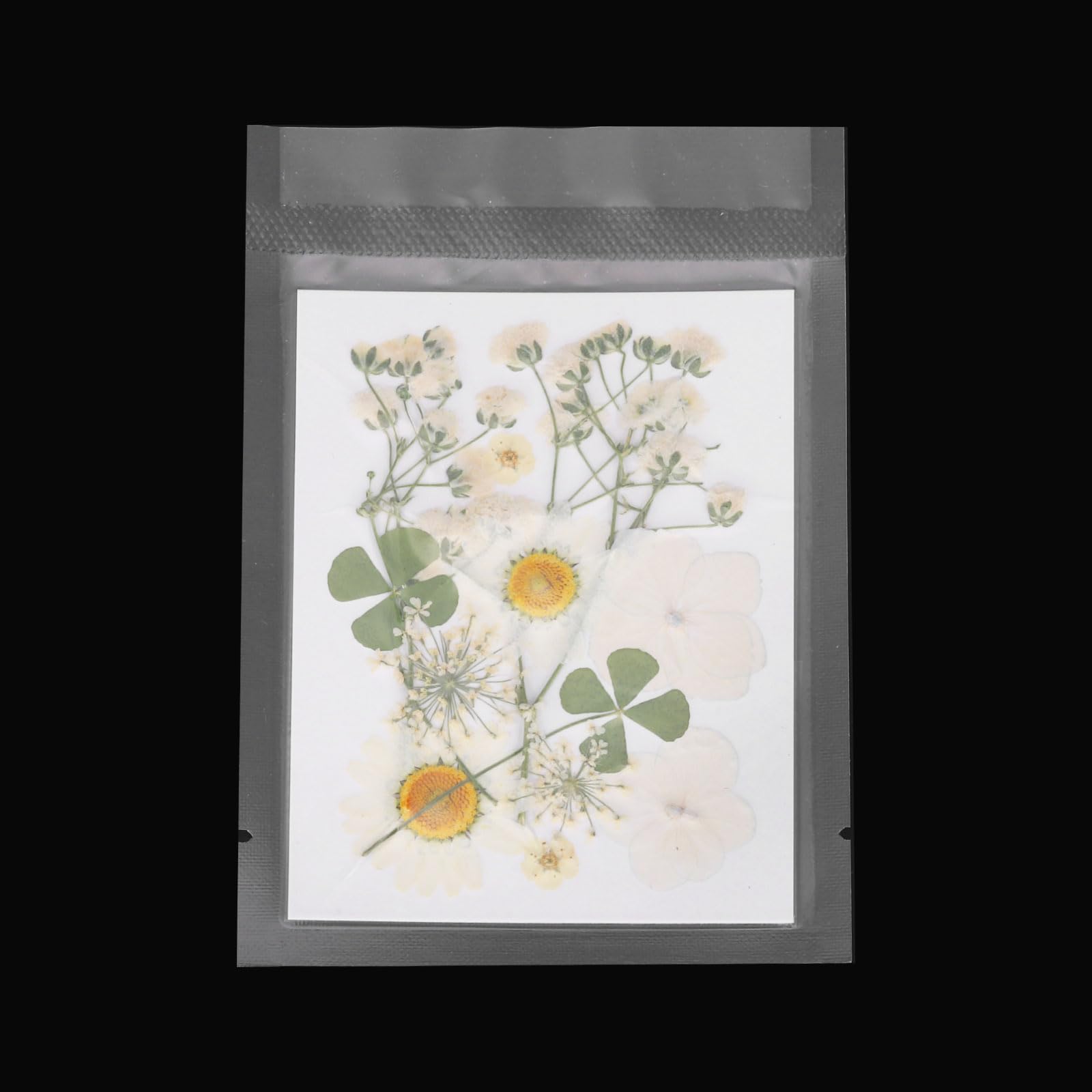 PATIKIL Dried Pressed Flowers - Image 4