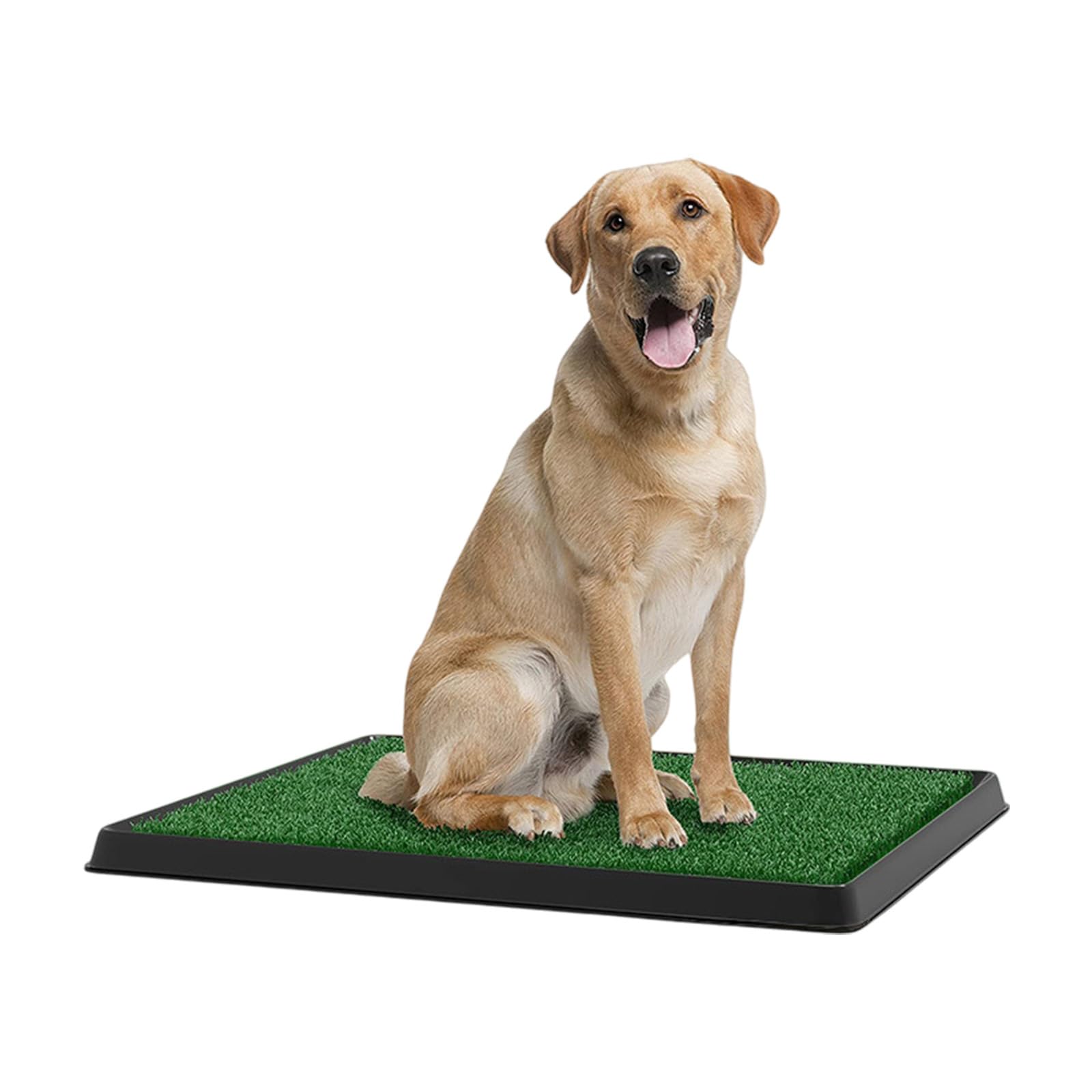 Tapis de propreté pour chien avec plateau amovible pour dressage de chiots - Plusieurs tailles - Facile à nettoyer