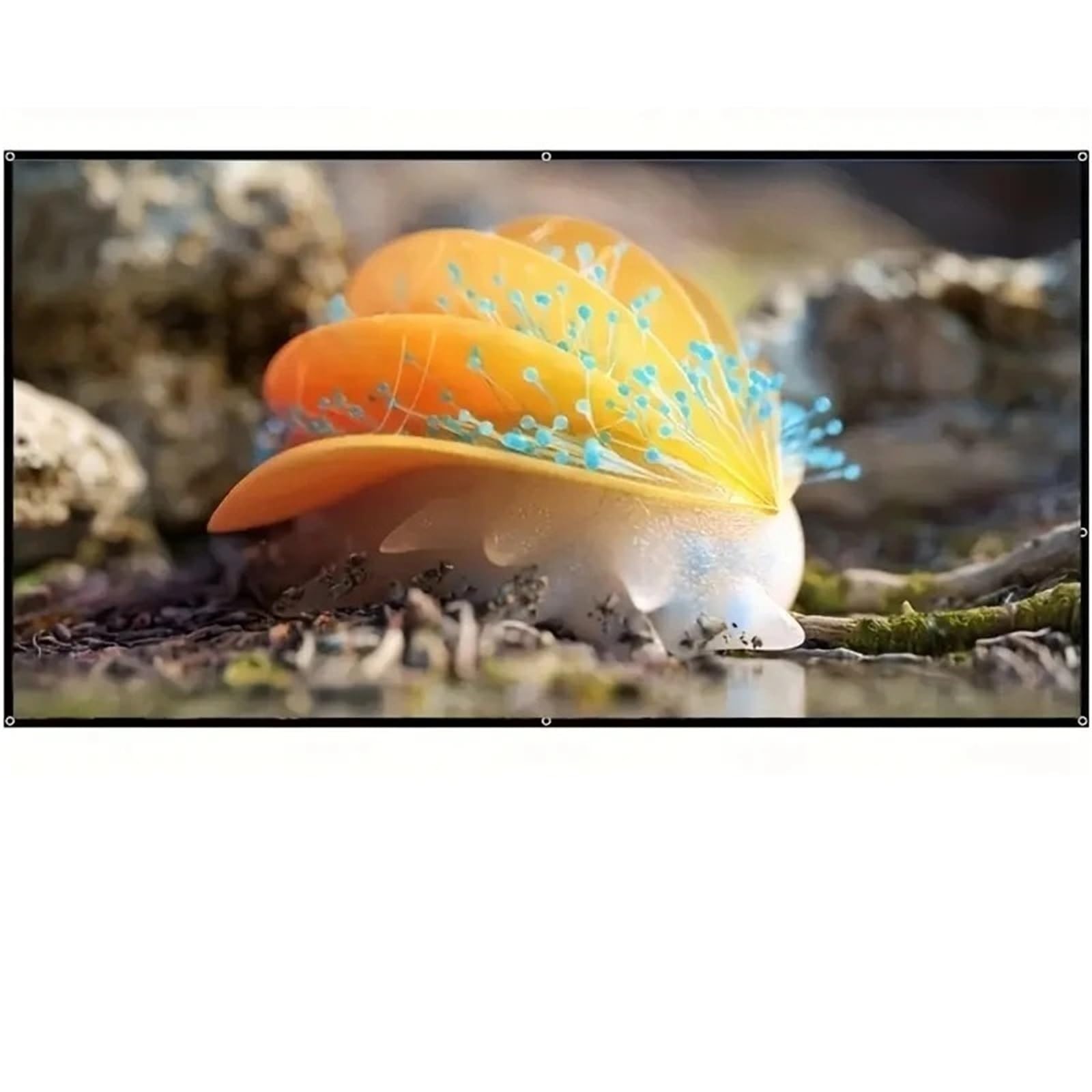 Schermo proiettore Schermo per proiettore Home Theater Lavabile Schermo per proiezione per Esterni Pieghevole Facile 60 72 84 100 120 150 Pollici Panno per proiettore Telo proiettore(150 inch)