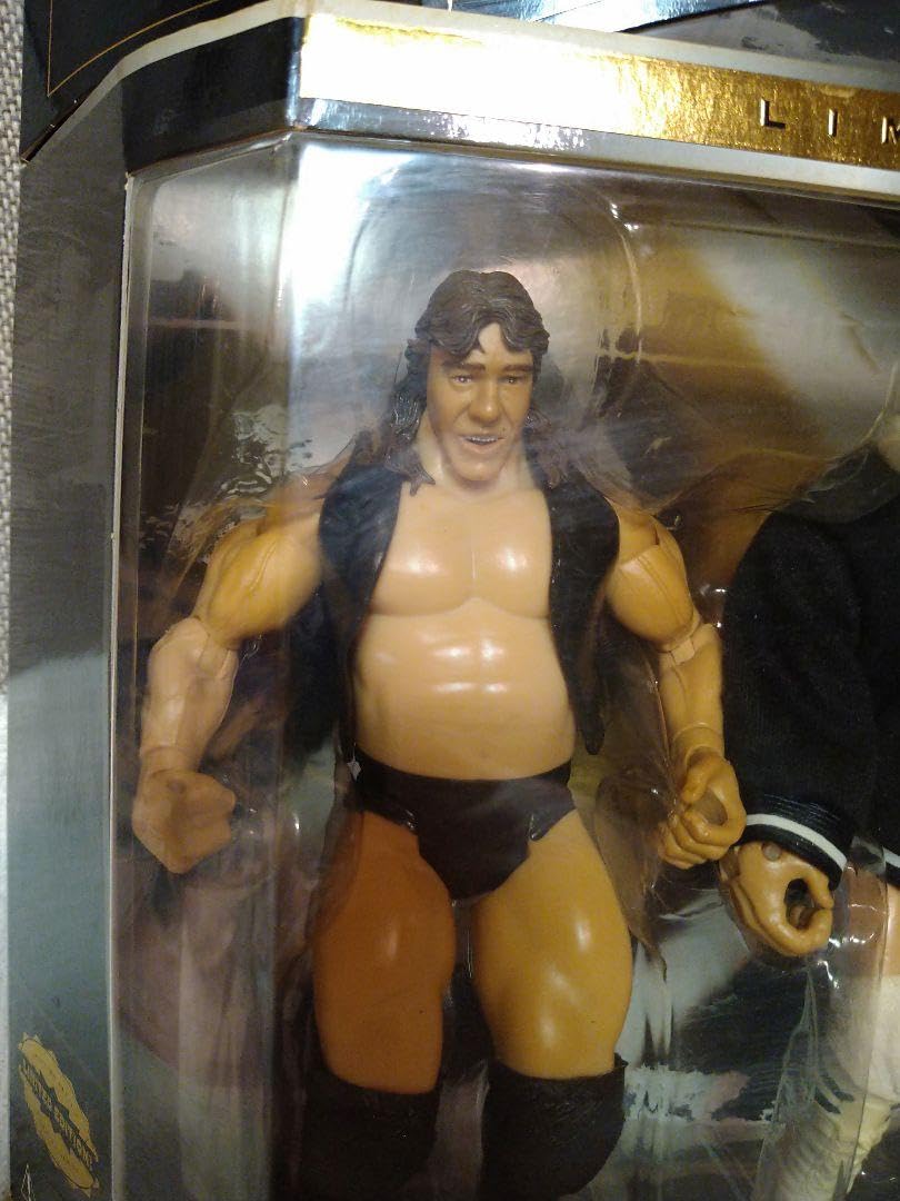 開封品　貴重！WWE クラシック限定版！全日　テリー・ゴディ&マイケル・ヘイズ Amazon.co.jp: 開封品 貴重！ クラシック限定版！全日 テリーゴディ