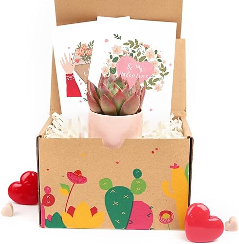 Caja de regalo para el día de San Valentín para ella, para él, 1 suculenta (tarjeta feliz del día de San Valentín), ideas de caja de regalo de San