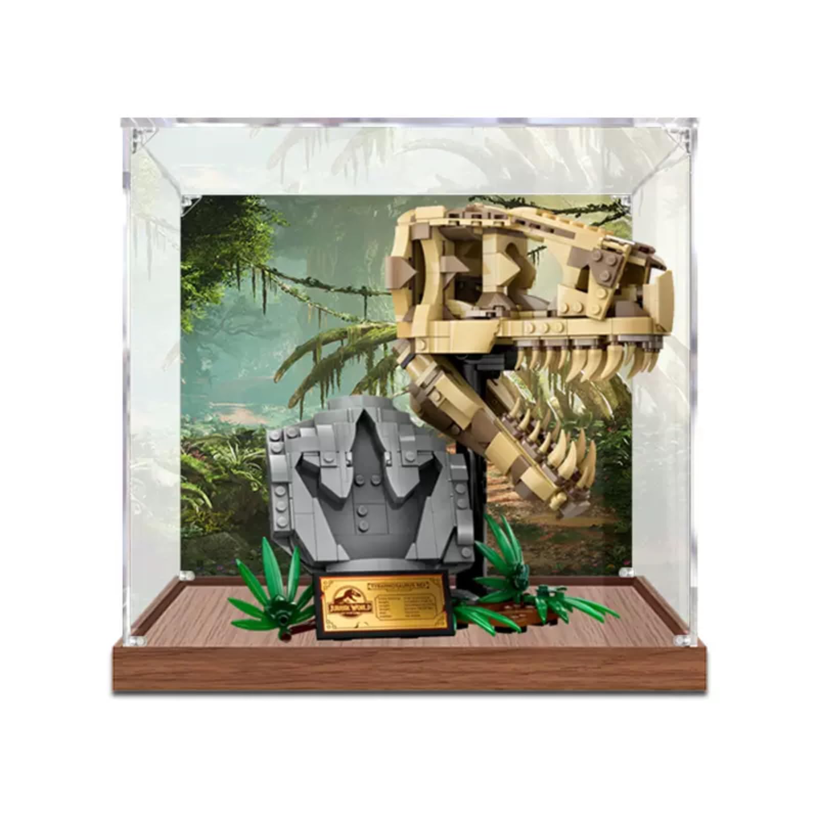 Scatola di visualizzazione figure per LEGO 76964 per Jurass-ic World Dinos-aur Foss-ils: T/rex Skull Acrilico Antipolvere Trasparente Espositore Personalizzato (Nessun Modello) (legno+sfondo A)