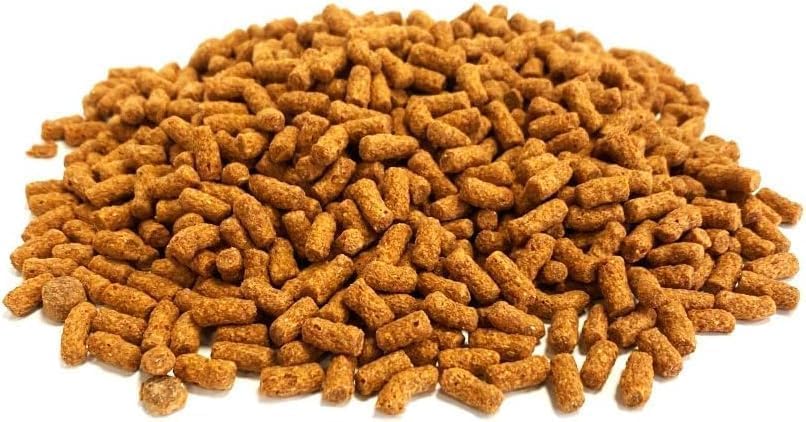 3 Litre Refill Bag Orange Koi Pond Sticks Premium Quality Complete Food 3l (approx weight 900g) 3LW