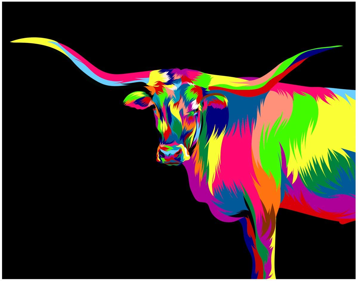 Texas Longhorn Colorful Design Fine Art Print Decor - 11x14 Unframed Decorative Wall Art Photo Gift - Present for Texas Lovers - Unique Dorm, Apartment, Bedroom Decor - Accessories Under $15