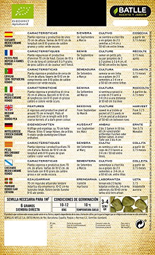 Bio zaden - erwten halve rankig rondo (36-48 zaden - biologisch) - Afbeelding 3