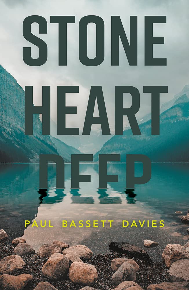 Stone Heart Deep by Paul Bassett Davies PAPERBACK 9781785632655
