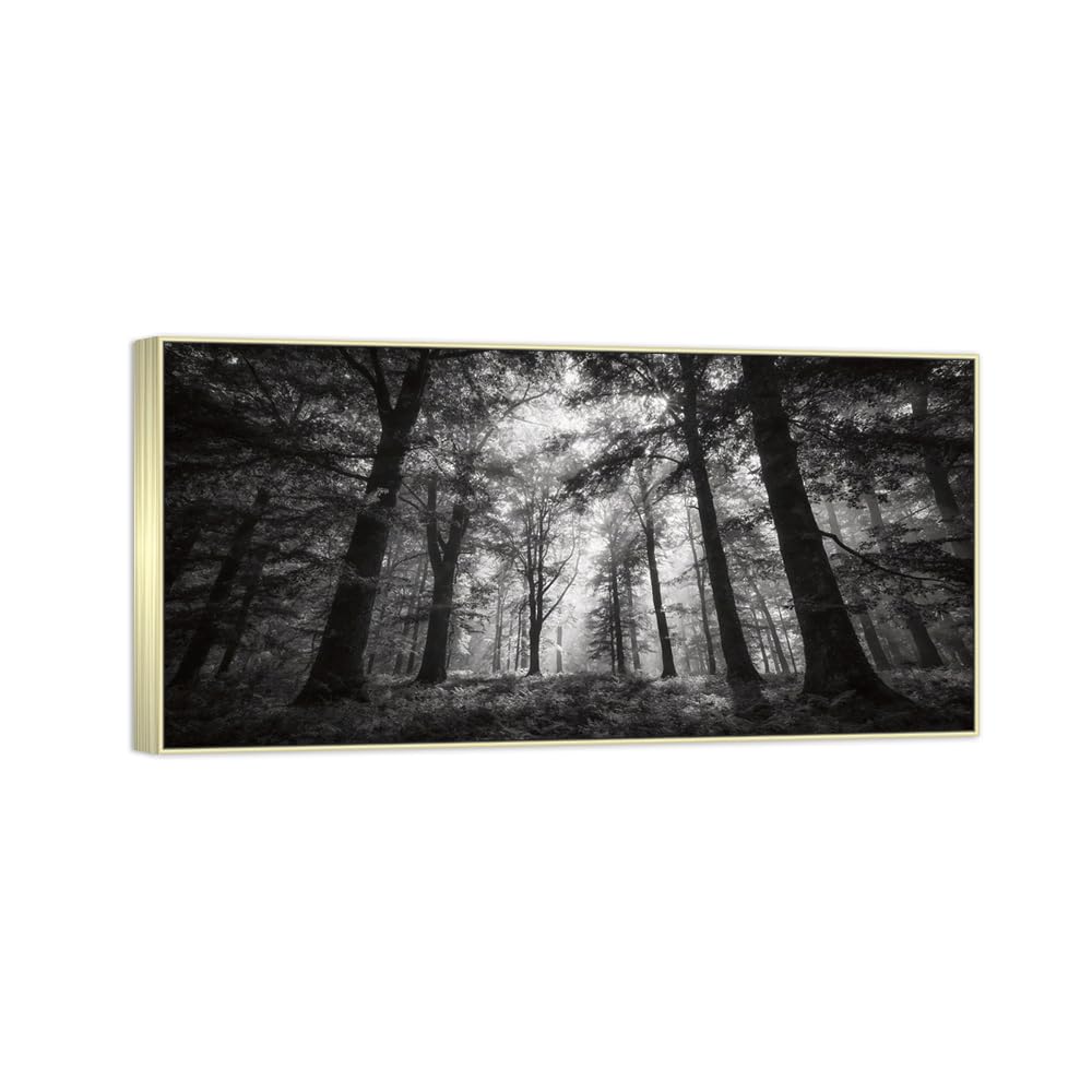 Forest Tree 2 Black White Landscape Canvas Picture 60x120cm Silver Frame