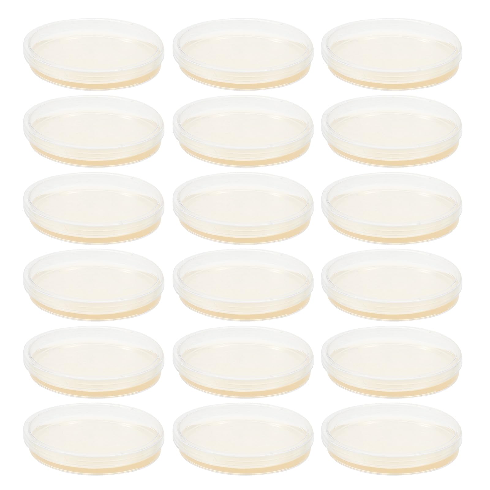 Placas de Petri de Plástico Estériles 9 CM, 20 Unidades Agar Nutritivo para Cultivo Celular y Análisis Microbiológico en Laboratorios