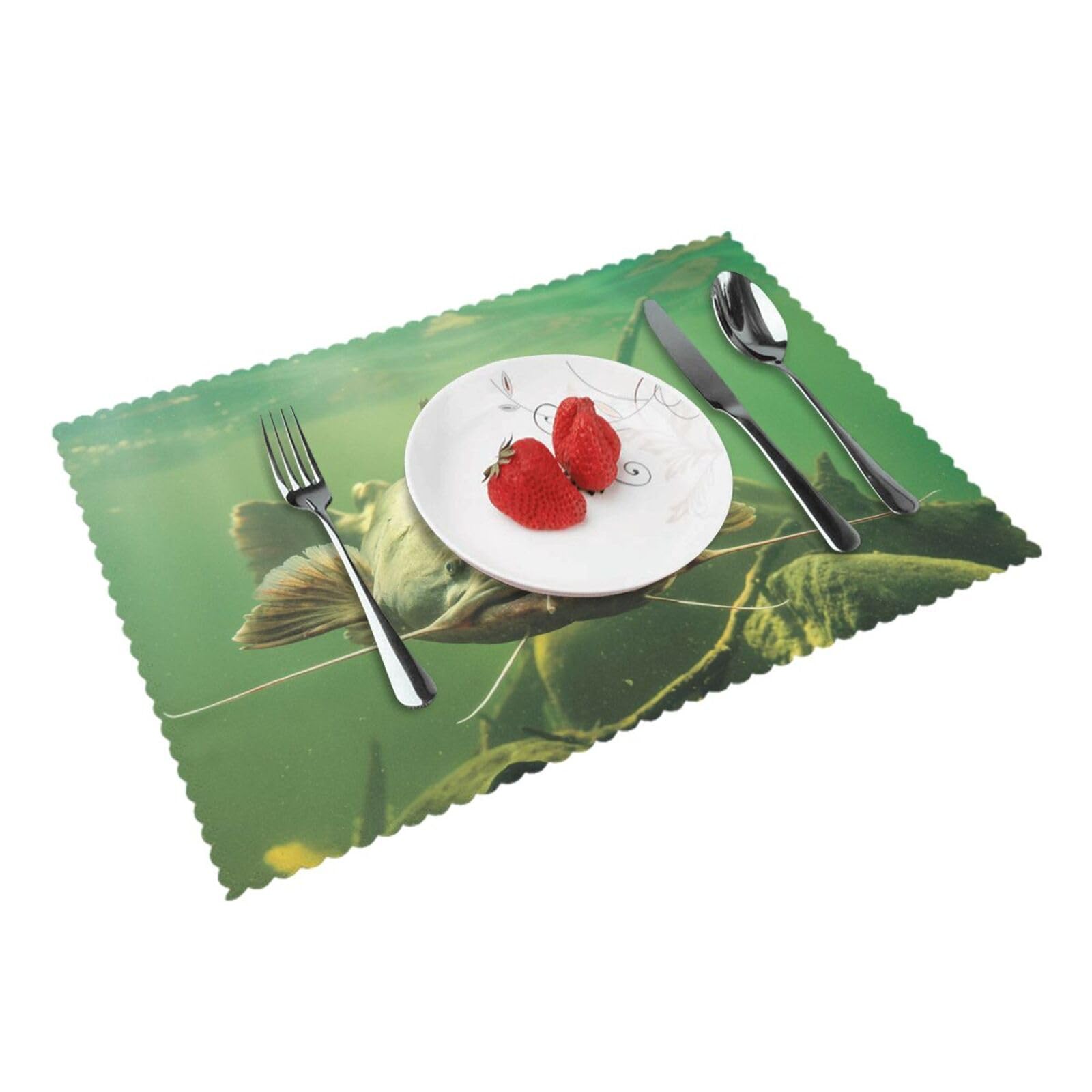 Underwater catfish Printed Placemats Set of 4 PCS Washable Placemat for Kitchen Table Heat-resistant Table Mats 45x30 CM