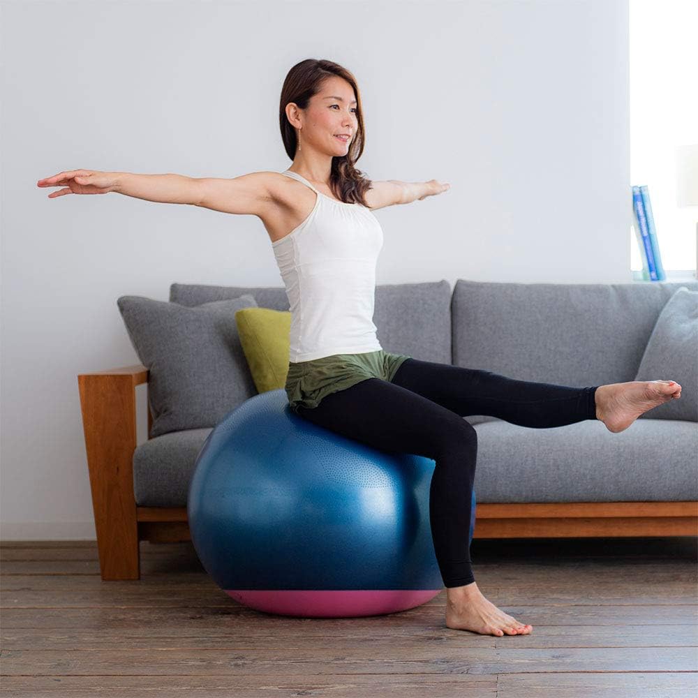 リラクシングワーク(Relaxing Work) HATACHI StayPlus Gym Ball, 25.6 inches (65 cm)