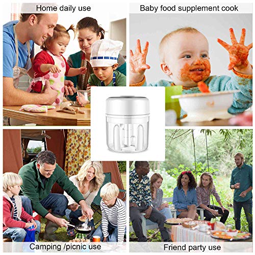 Ditiord Electric Garlic Chopper, 8.5Oz Wireless Mini Food Chopper, Portable Food Cutter Mincer For Dicing, Ginger, Chili, Fruits, Onions, Vegetable #TOP6