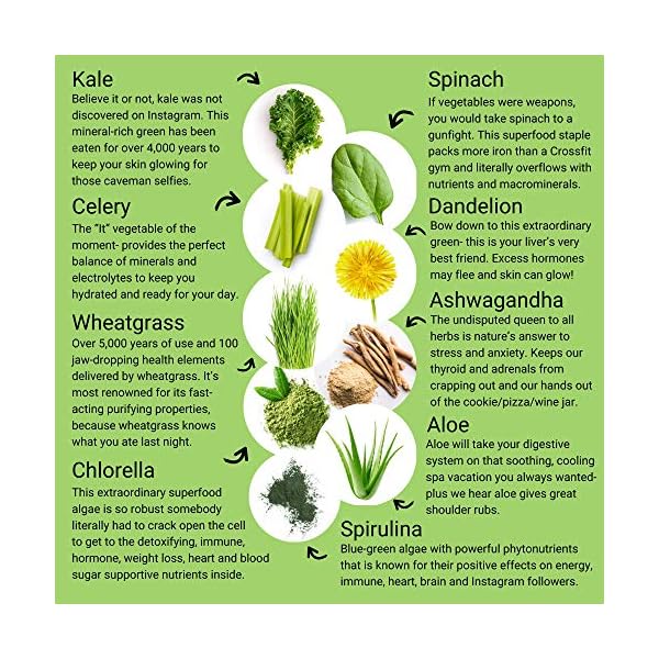 Smart-Pressed-Organic-Greens-Superfoods-Juice-Powder-Single-Serving-Cold-Pressed-Vegan-Alkalizing-Green-Juice-Cleanse-Detox-Original-30-Servings-Bottle Smart Pressed Organic Greens Superfoods Juice Powder Single Serving Cold-Pressed Vegan Alkalizing Green Juice Cleanse Detox (Original, 30 Servings Bottle)