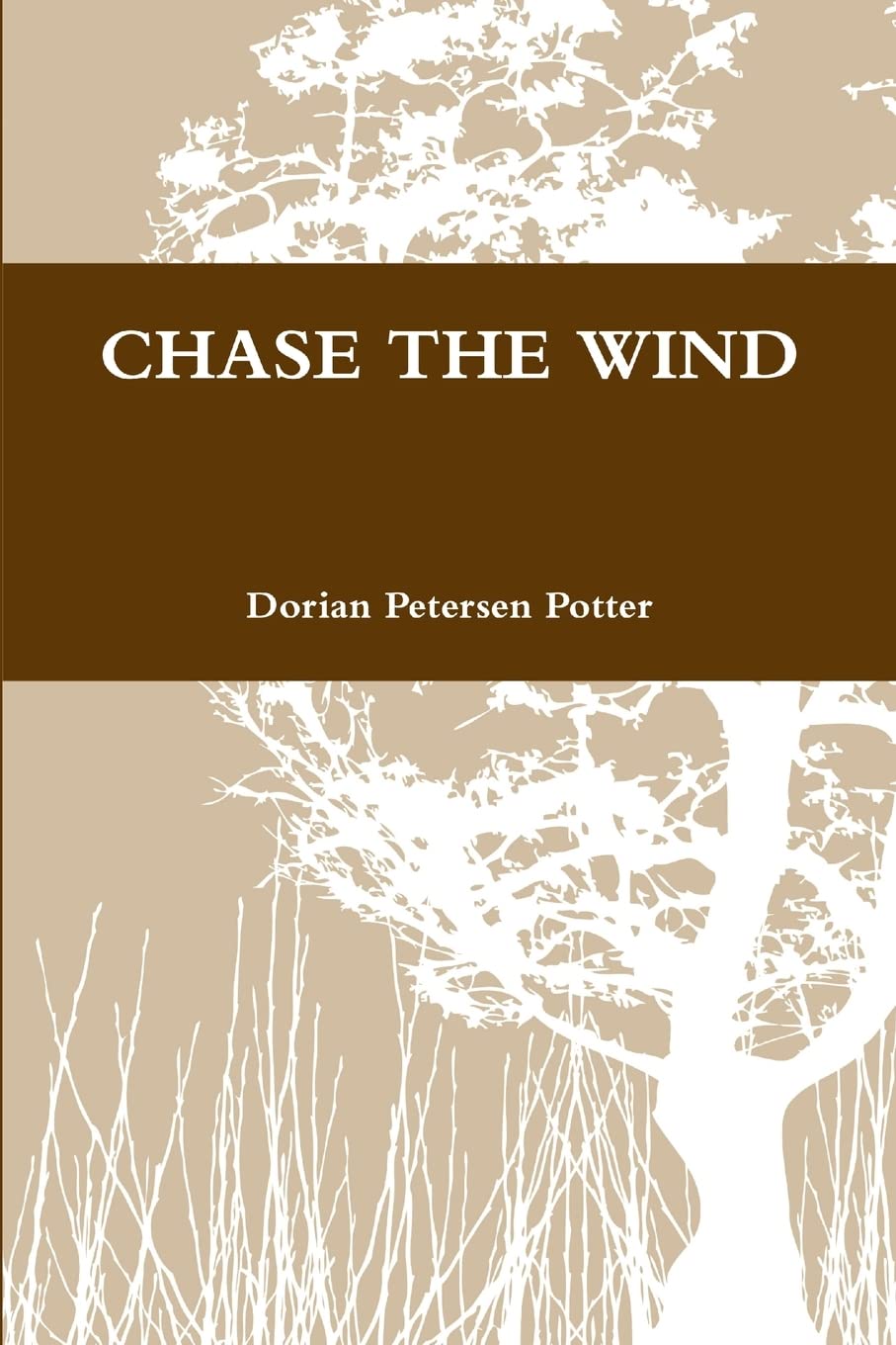 Chase the Wind