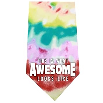 Mirage Pet Products 512-27 TD This is what Awesome Looks Like Screen Tie Dye Print Bandana