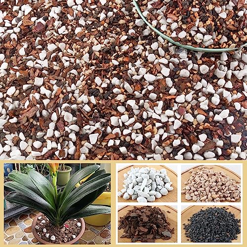 10 Quart Bonsai Soil Mix Lava Pumice Pine Bark and Calcined Rock Natural Organic Mix for Potted Plants