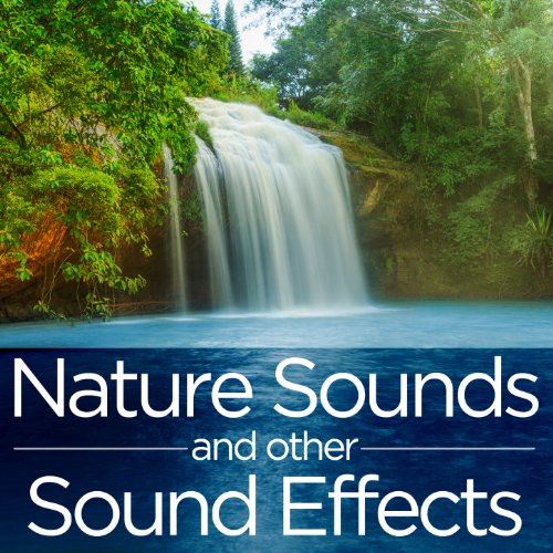 Amazon.com: Nature Sounds and Sound Effects : FX Players: Digital Music