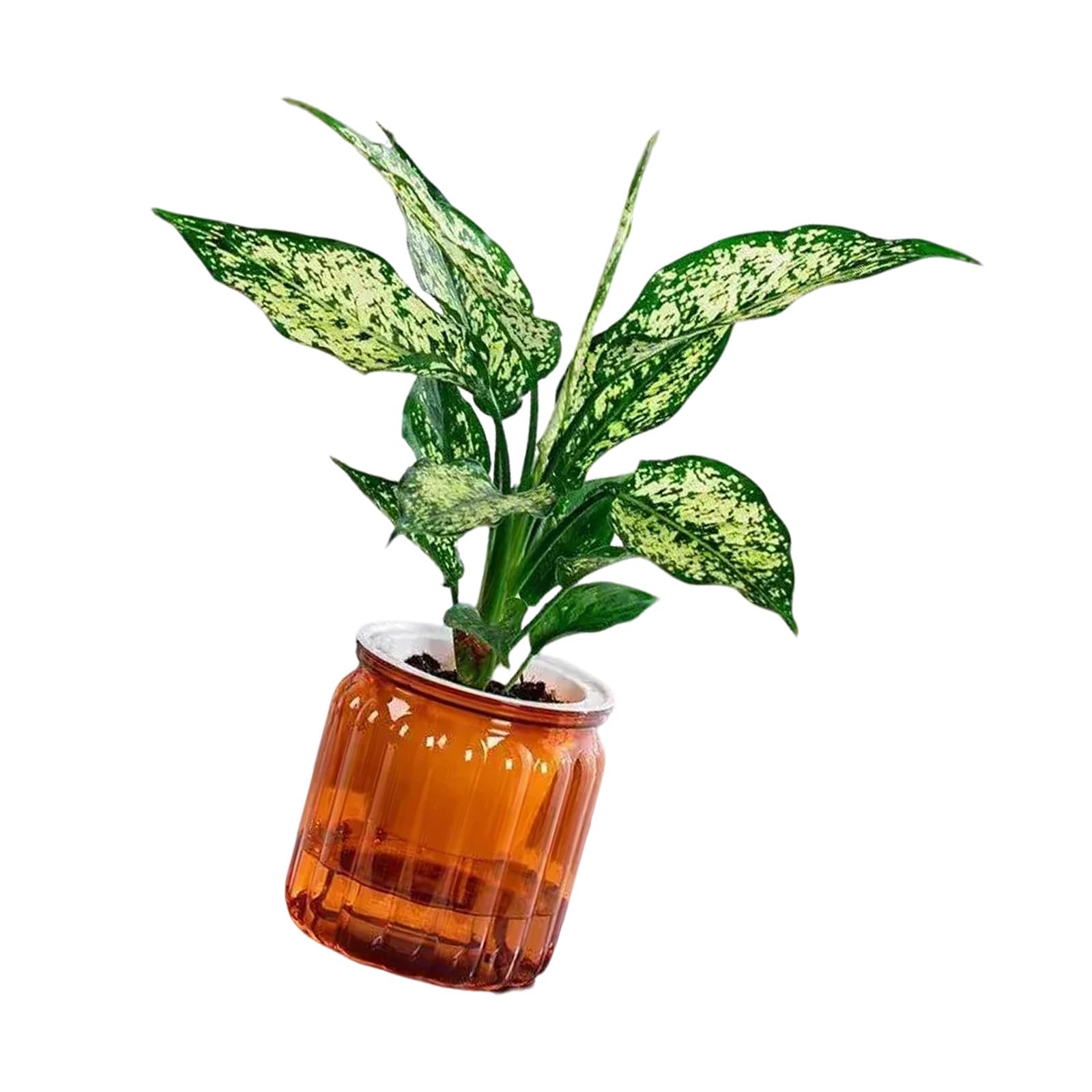 HDOYTXXM Indoor Watering Miniature Flowerpots Succulents Planter for Home Use with Efficient Water Absorption Designs Efficient Water Absorption