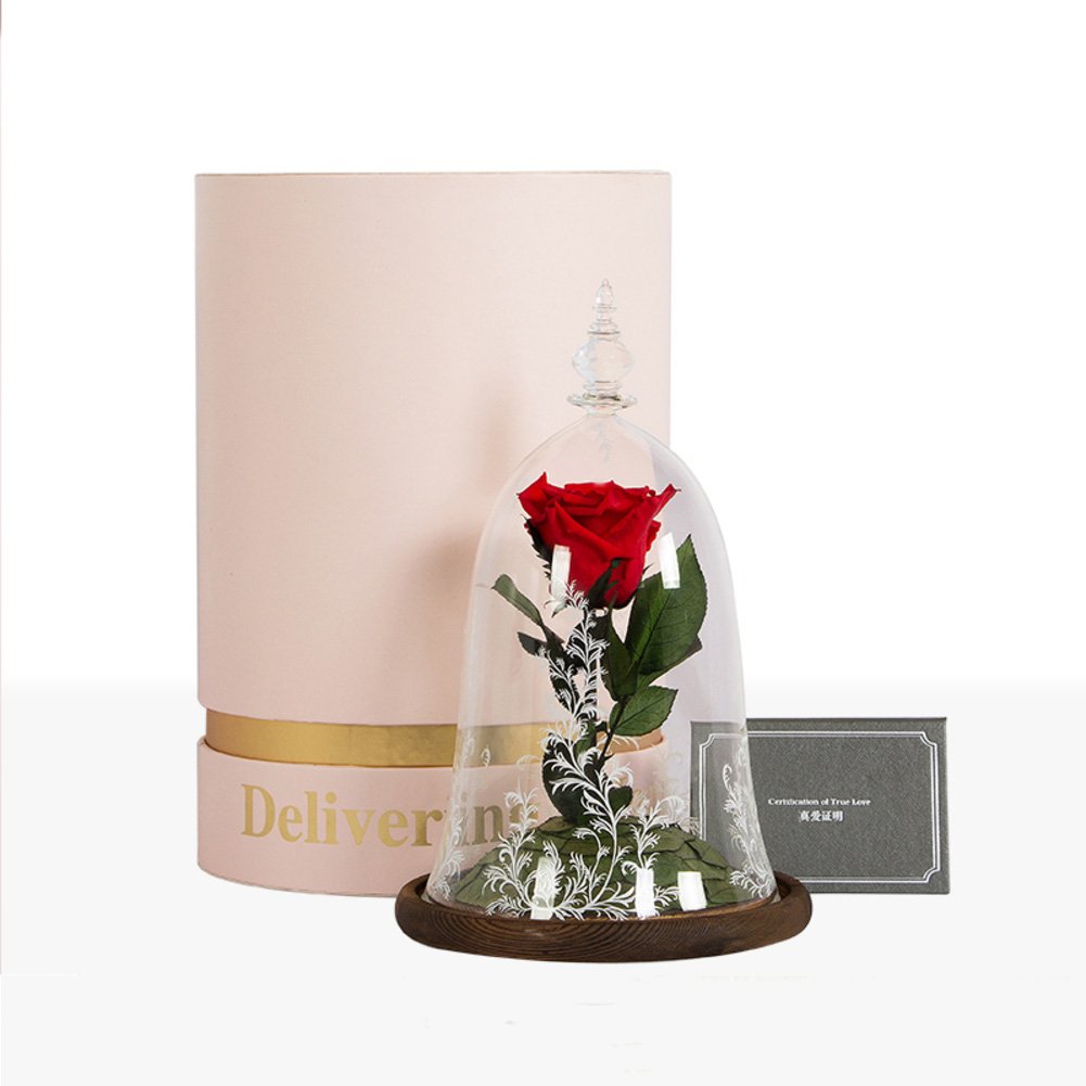Rose éternelle rouge sous cloche en verre fleur naturelle stabilisée qui ne se fane pas