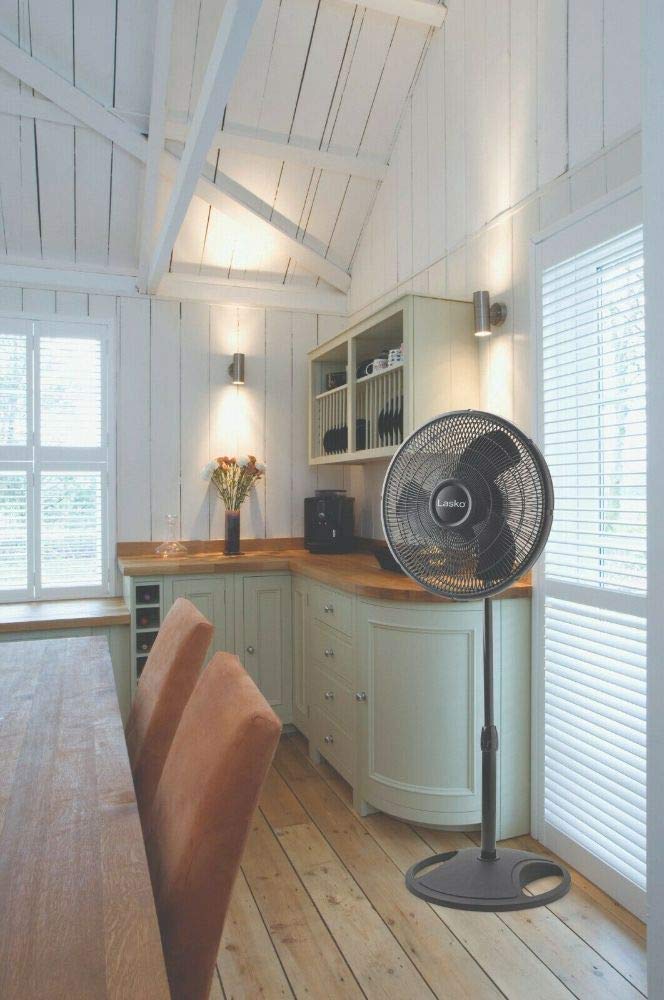 Amazon.com: Commercial 16'' Oscillating Pedestal Stand 3-Speed Fan, Model  S16500, Black (Renewed) : Home u0026 Kitchen