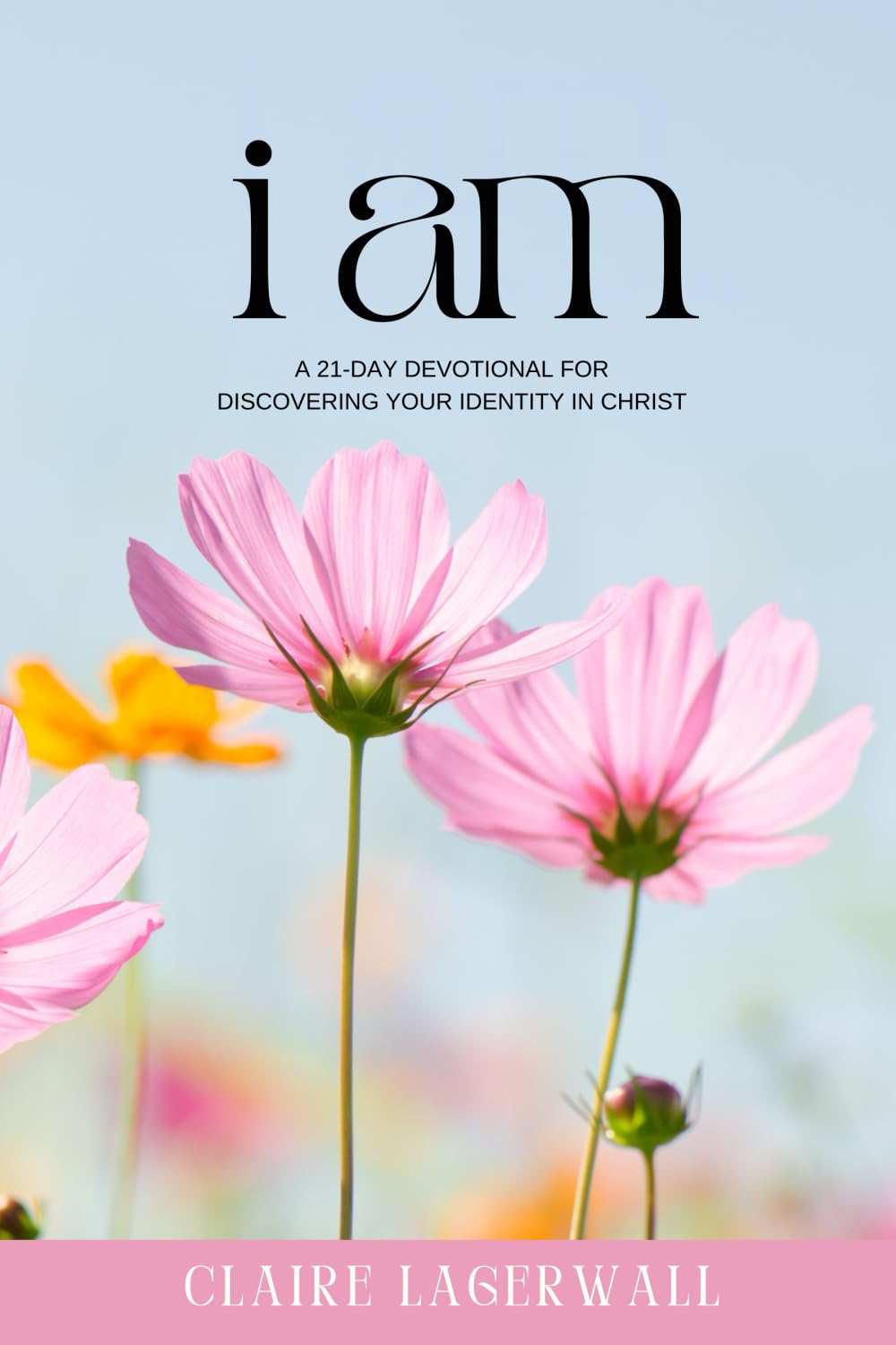 i am: A 21-DAY DEVOTIONAL FOR DISCOVERING YOUR IDENTITY IN CHRISTC