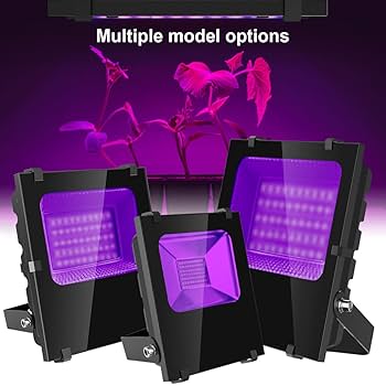 ライト・ランタン CONPE10 ND SWALLOW ver. BLACK NATAL DESIGN SHOP