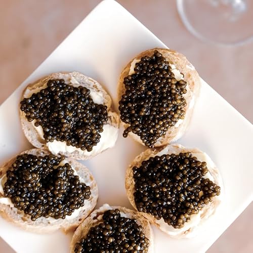 qGlobal WishrJ[KNC[ IZg v~A LrAbMEYEtbVb瓇Η{BE}\@ 3.7b嗱3.2mmbtXgpB TXeiuLrAbMtgBOXt Kaluga Queen Ose