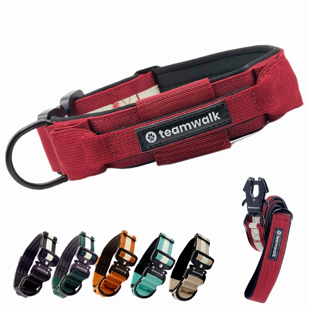 teamwalk® Premium Hundehalsband - mit Magnetgriff, Leuchtstreifen, Air-Tag Tasche, individuell einstellbar, weiche Polsterung, robuste Schnalle, mit passender Leine erhältlich, JETZ NOCH Leichter(M)