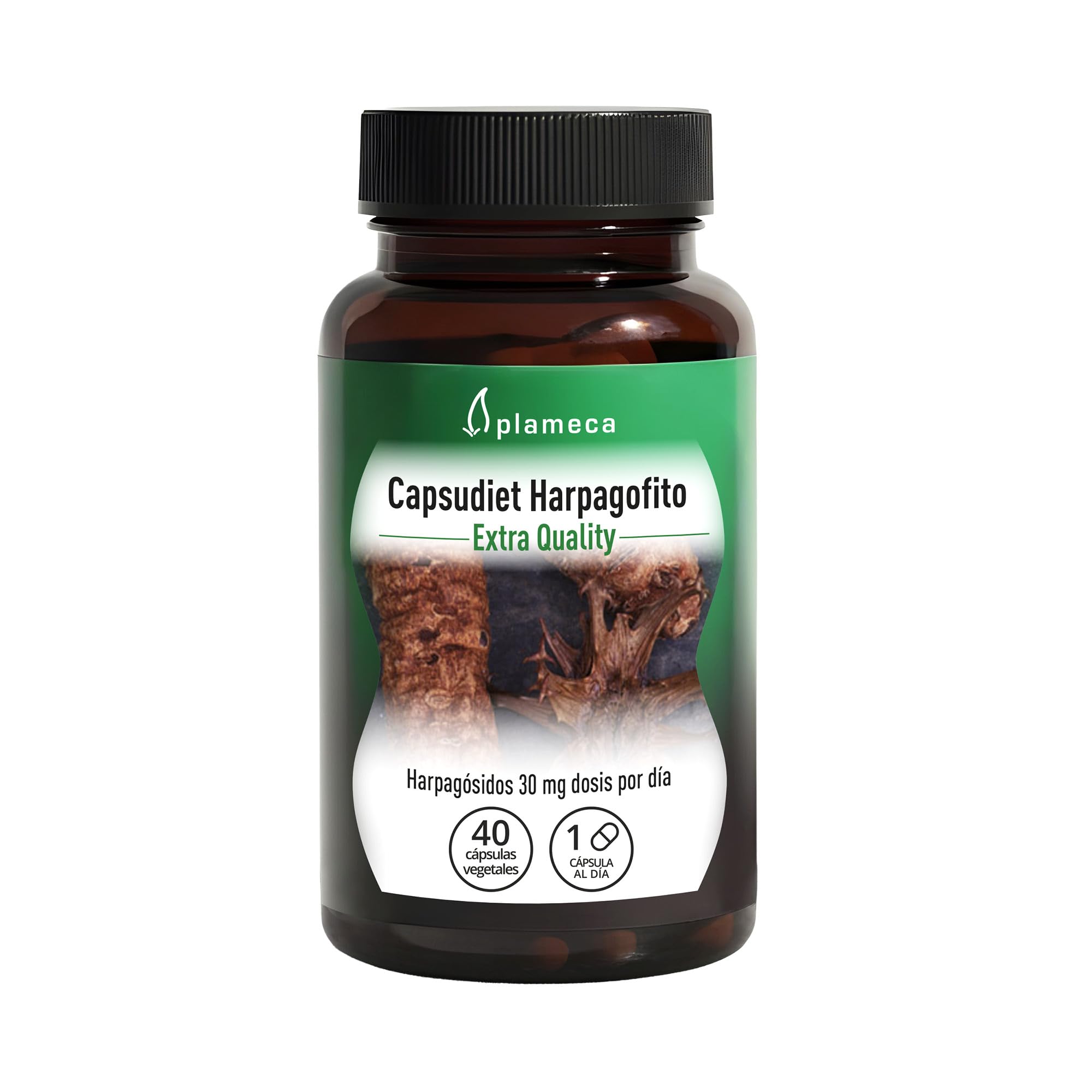 PLAMECA Capsudiet Harpagofito, Extracto Seco de Harpagofito Máxima Concentración, 40 Cápsulas Vegetales
