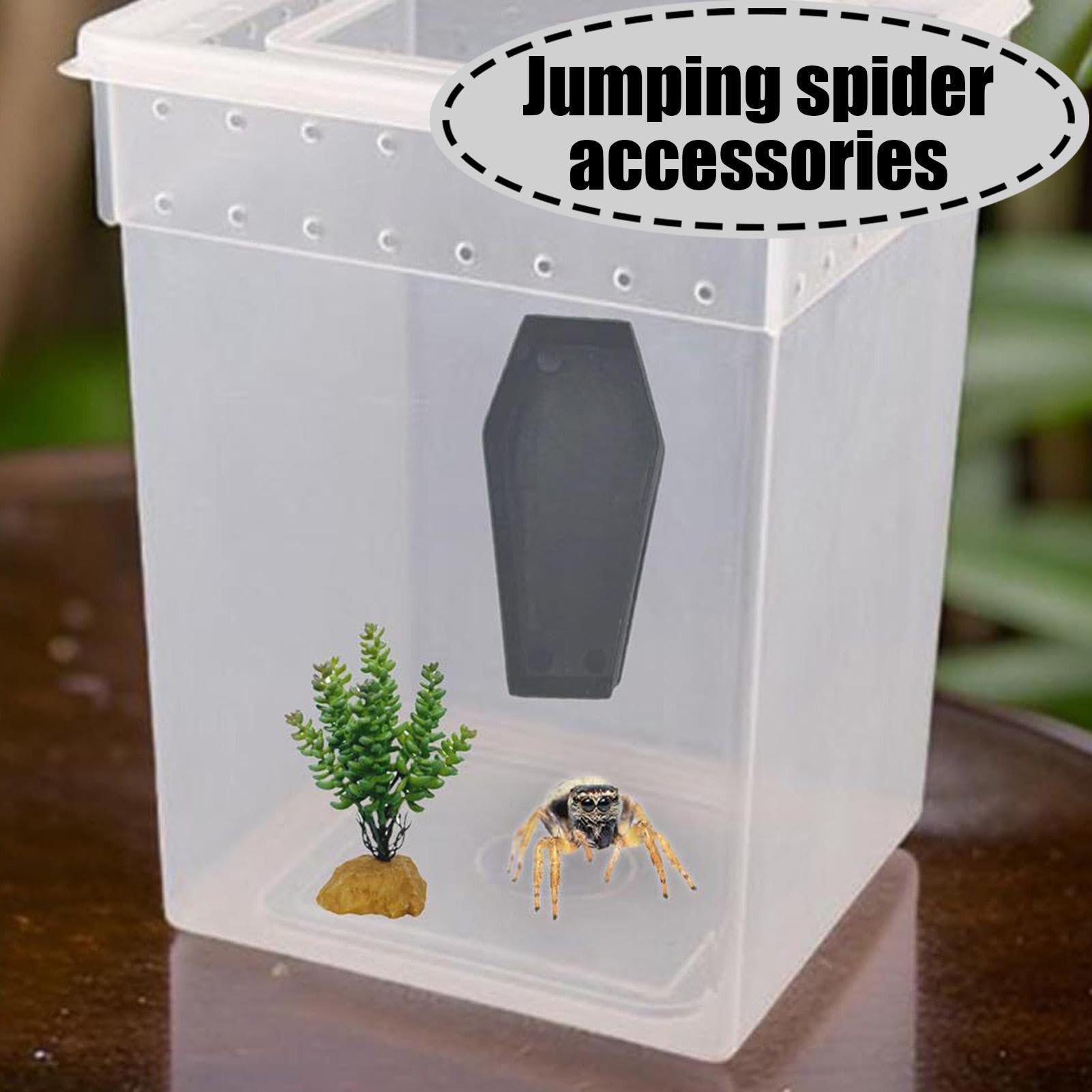 2x Gothic Spinnen Verstecke Mit Magneten - Für Springspinnen & Gottesanbeterinnen