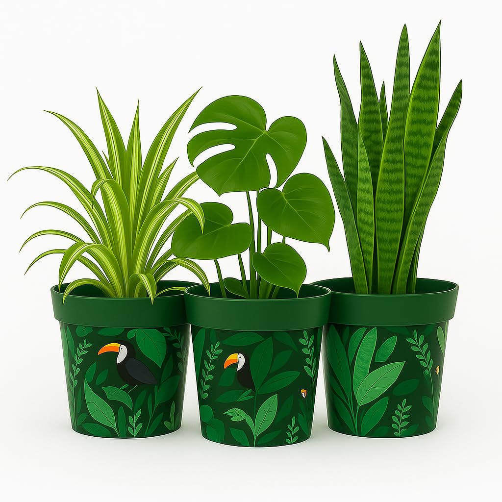 Gardening Naturally Decorative Plant Pot with Recycled Materials – Frost-Proof, Suitable for All Seasons, 15.1cm x 16.8cm Pack of 3 By Flowersea (Jungle Parrot)