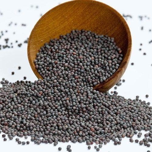 Nurito Sarso Kali -100g