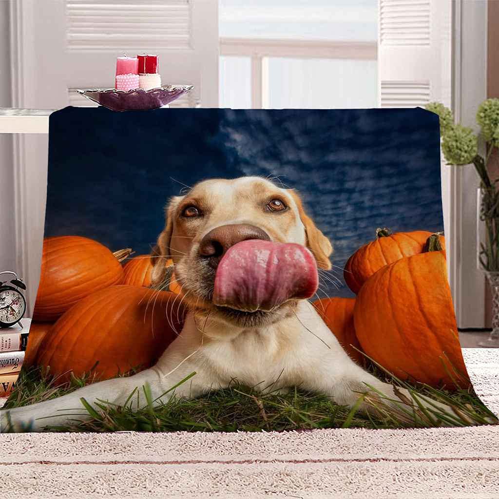 Couverture flanelle chien pour canapé plaid douillet contre le froid