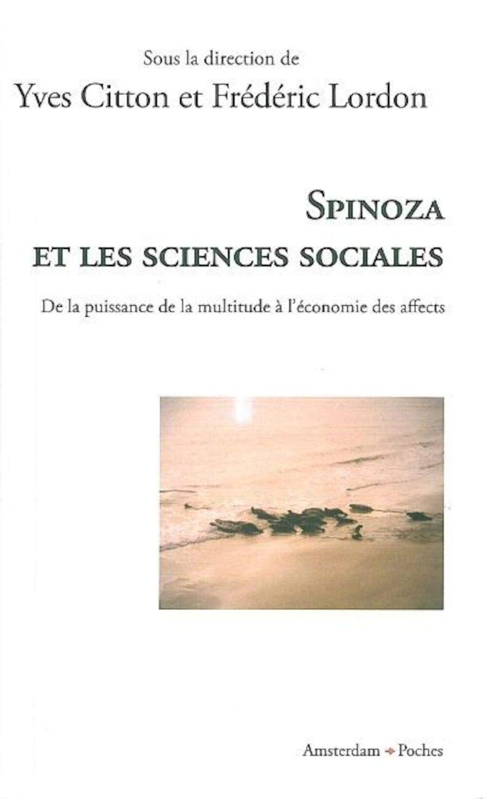 Spinoza et les sciences sociales: De la puissance de la multitude à l'économie des affects