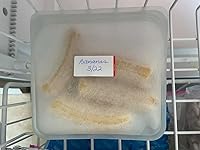 Review Image by TDS TDS