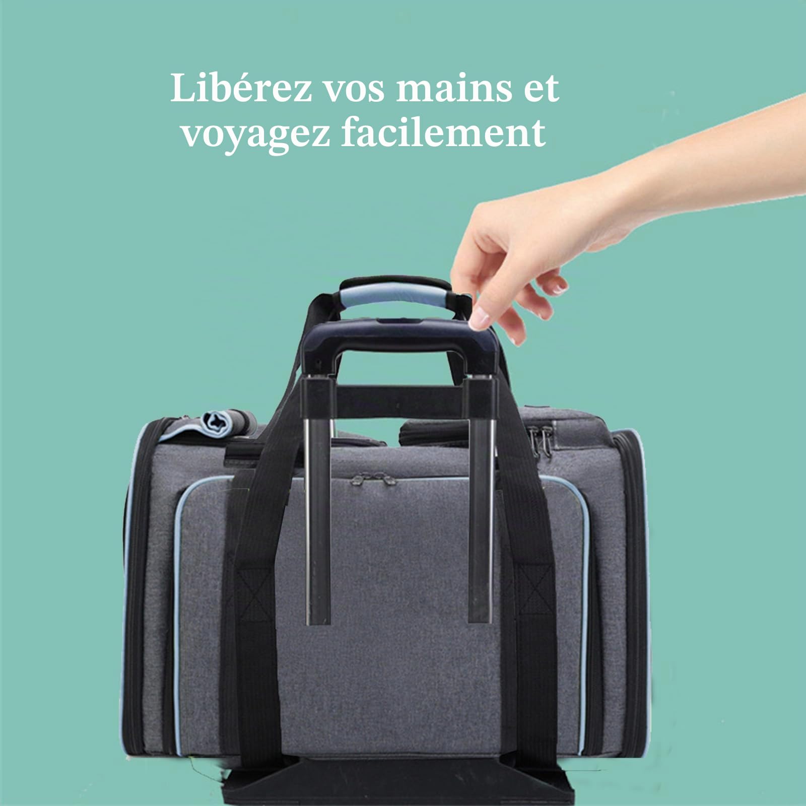 Boîte de transport pliable pour chat - Sac de transport - Avion, voiture, voyage - Respirant - Pour chat et petits chiens