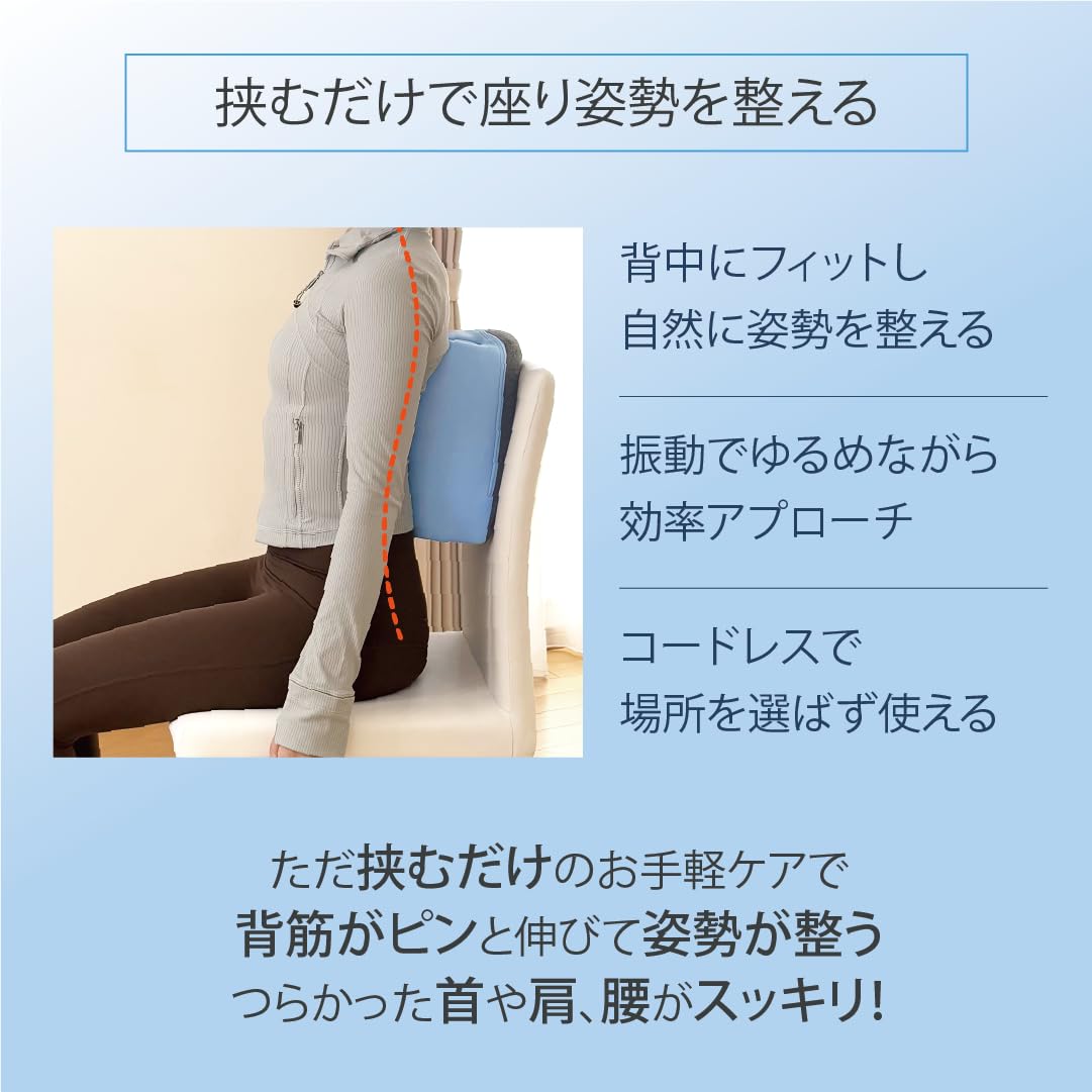 背骨アクティブクッション 背骨アクティブクッション 通販 - ディノス