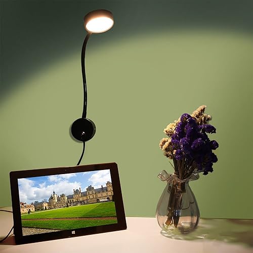 Miniatura 7 de Onerbuy Youngine - Lámpara de pared de cuello de cisne flexible con cable de 5 W, lámpara de lectura de obras de arte, luz de acento, montaje en