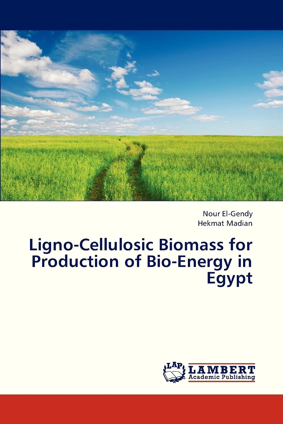 Ligno-Cellulosic Biomass for Production of Bio-Energy in Egypt