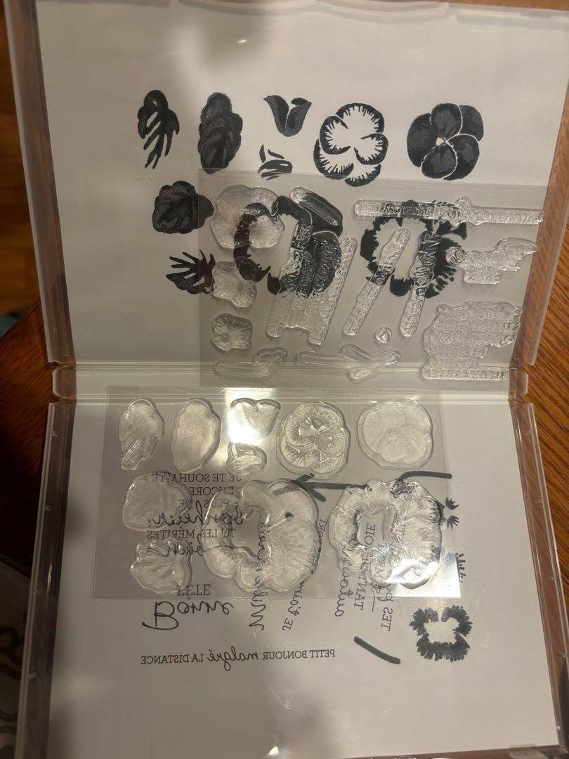 1点限り スタンピンアップ パンジースタンプダイ 【公式】アン 1点限り スタンピンアップ パンジースタンプダイ 【公式】アン