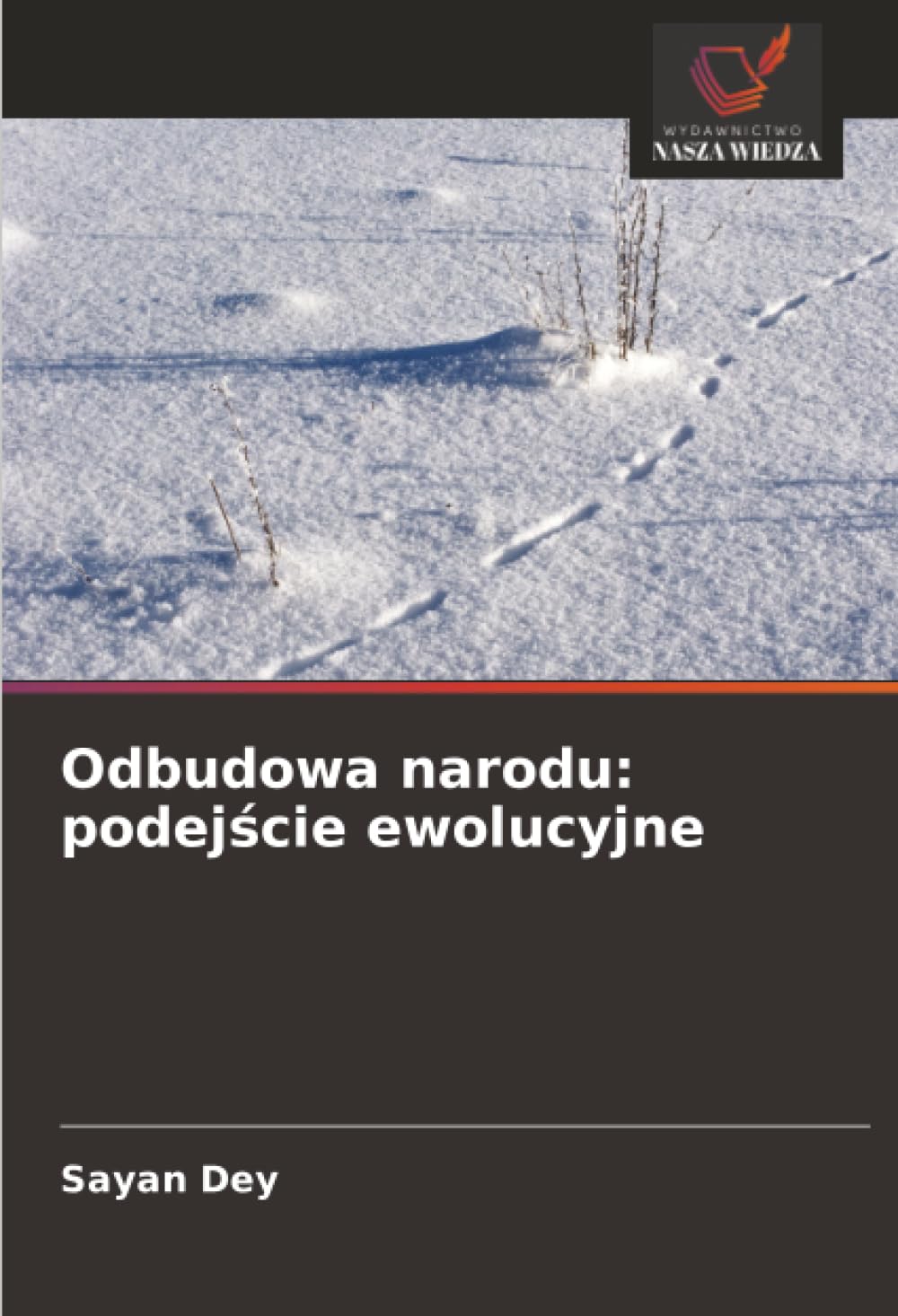 Odbudowa narodu: podej¿cie ewolucyjne