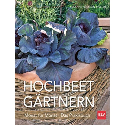 Hochbeet-Gärtnern Monat für Monat: Das Praxisbuch (BLV Hochbeet & Gewächshaus)