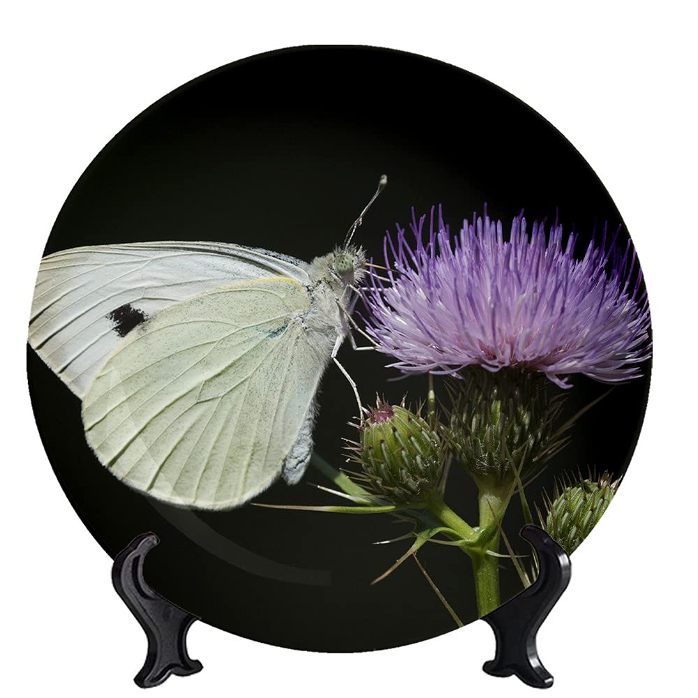 Buy Haoyun Decorative Plates Flowers and Butterflies Wall Ceramic Ornament Plates for Home