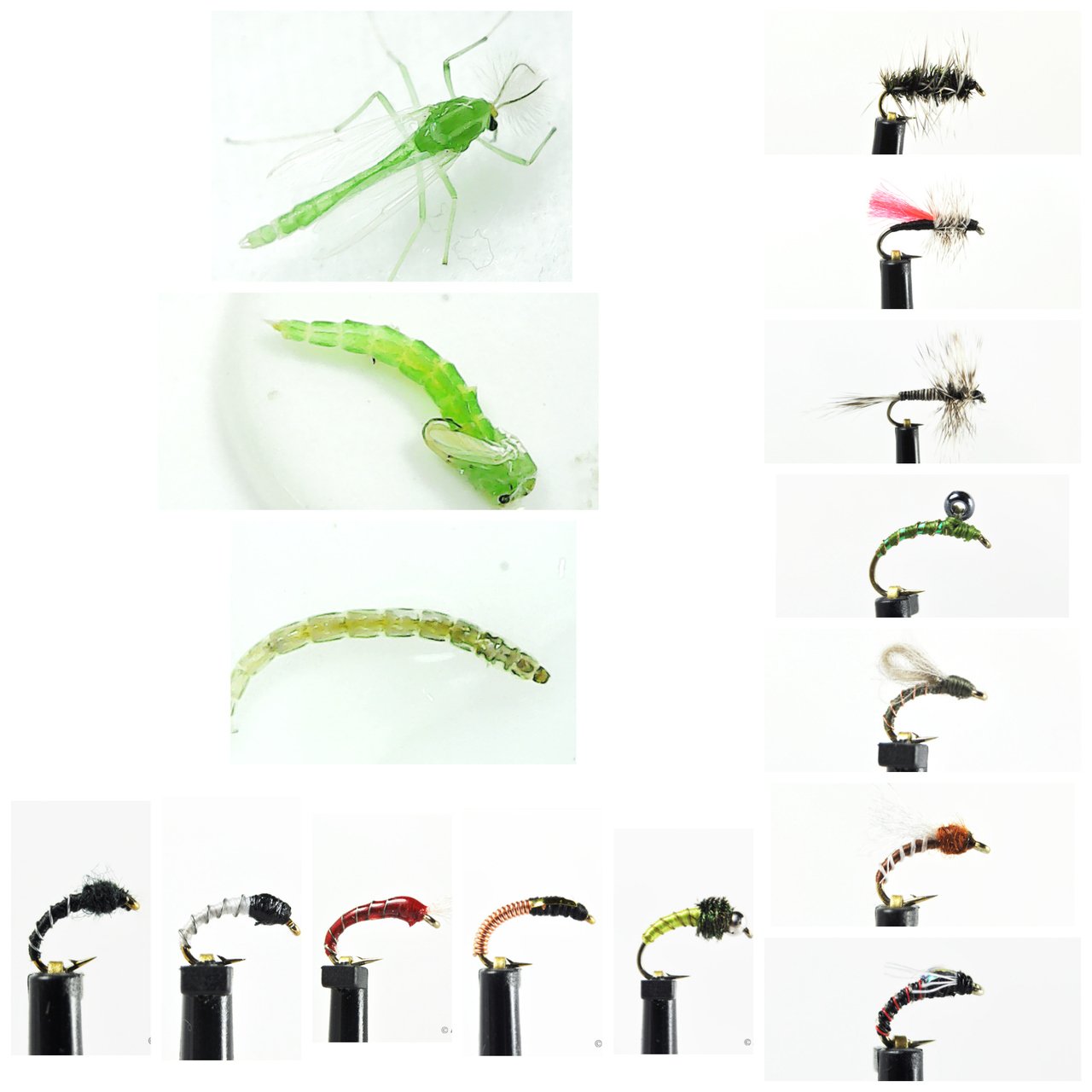 Ascent Fly Fishing Deadly Dozen Midge Selection (Medium)