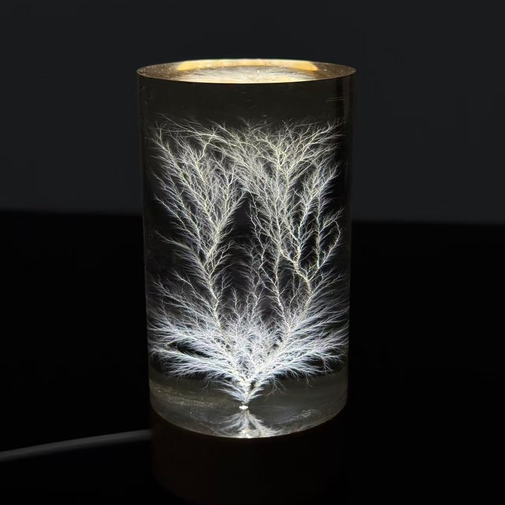 Lichtenberg Blitz Skulptur mit separater LED-Display-Basis | Wissenschaftliches Kunstobjekt mit Mustern hoher Spannung; Deko für Schreibtisch & Regal, Geschenk für Tech-Enthusiasten